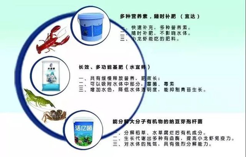 科技与绿色共舞:湛江生物科技行业的最新进展